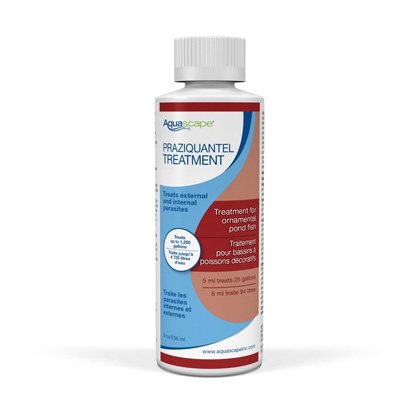 81041 Praziquantel Treatment (Liquid) - 8 oz / 236 ml